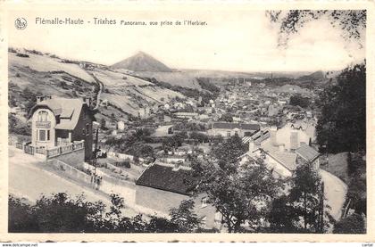 FLEMALLE-HAUTE - Trixhes - Panorama, vue prise de l'Herbier.