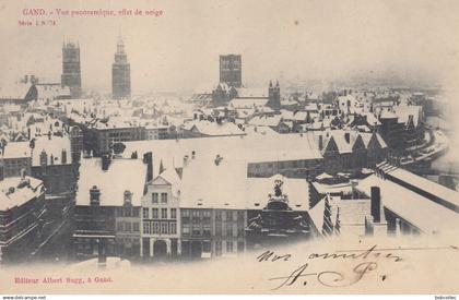 GAND (Flandre-Orientale): Vue panoramque, effet de neige