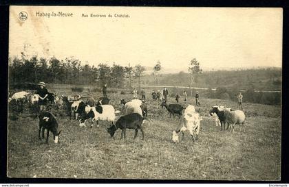 CPA - Carte Postale - Belgique - Habay la Neuve - Aux Environs du Châtelet - 1922 (CP19200+)