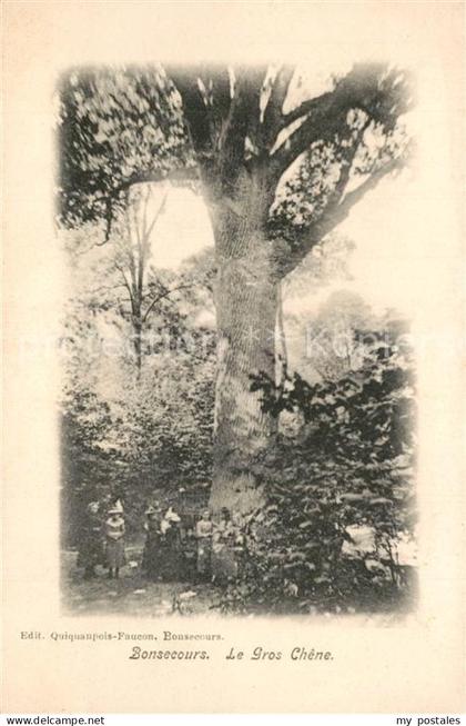 73514079 Bonsecours Belgien Le Gros Chêne Arbre Bonsecours Belgien