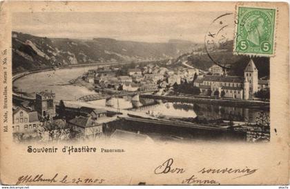 CPA AK BELGIQUE, Souvenir d'Hastiére Panorama (30496)