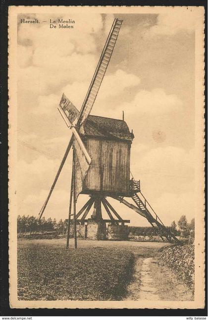 +++ CPA - HERSELT - De Molen - Le Moulin   //