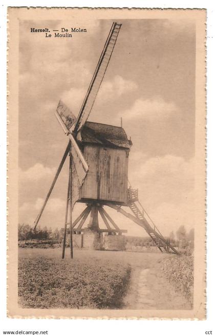 Herselt   De Molen  Le Moulin