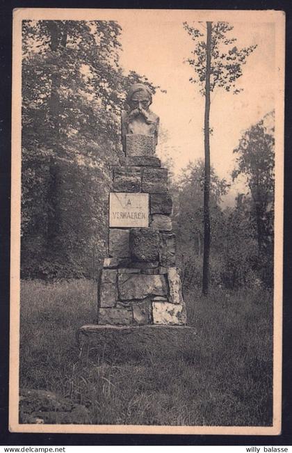 +++ CPA - CAILLOU QUI BIQUE - ROISIN - Monument Verhaeren //