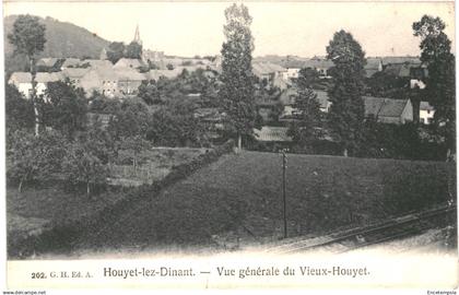 CPA Carte Postale Belgique Houyet-lez-Dinant Vue générale du Vieux Houyet 1911 VM86423ok