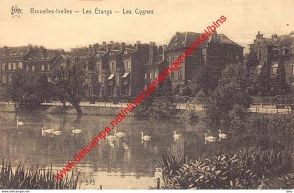 Les Etangs - les Cygnes - Elsene - Ixelles