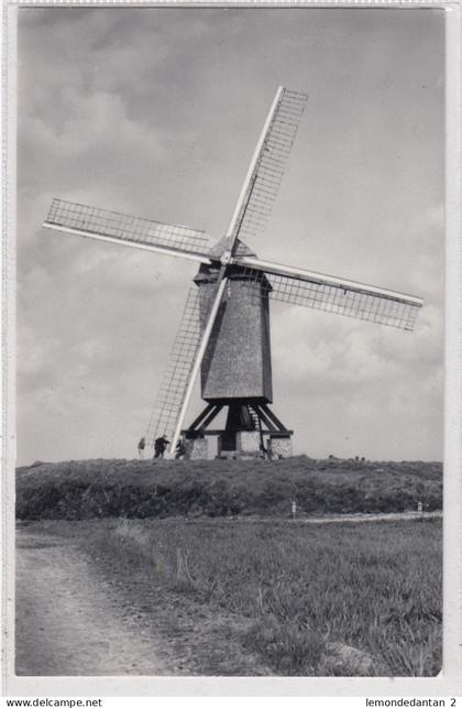 Wannegem-Lede. Staakmolen. *