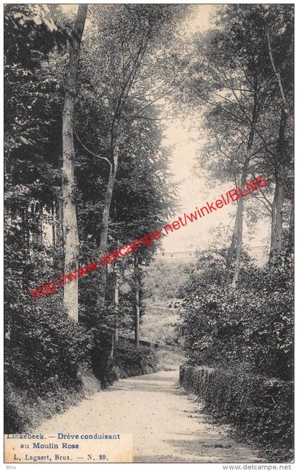 Drève conduisant au Moulin Rose - 1908 - Linkebeek