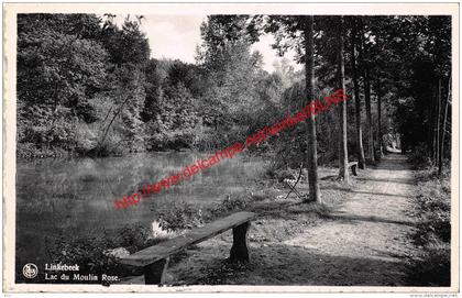 Lac du Moulin Rose - Linkebeek