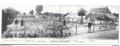 Londerzeel - Groote kweekerij Geyzen.