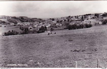 ODEIGNE (Manhay )- panorama