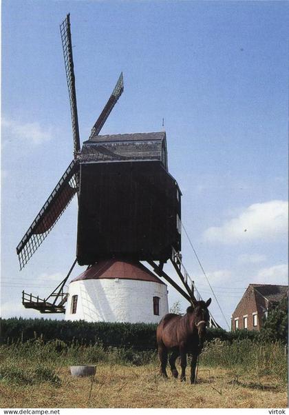 Meulebeke :  Herentmolen   :  windmolen   ( groot formaat 15 x 10.5 cm )