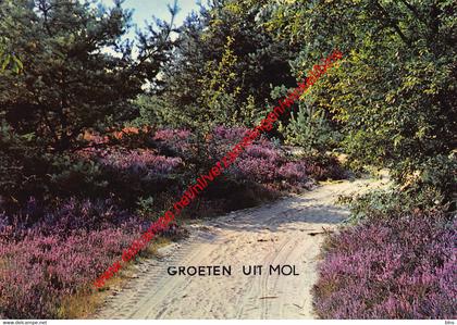 Groeten uit … - Mol