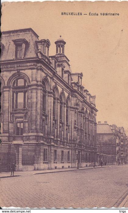 Bruxelles - École Vétérinaire