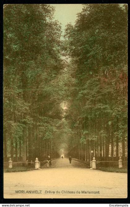 CPA - Carte Postale - Belgique - Morlanwelz - Drève du Château de Mariemont (CP24174)