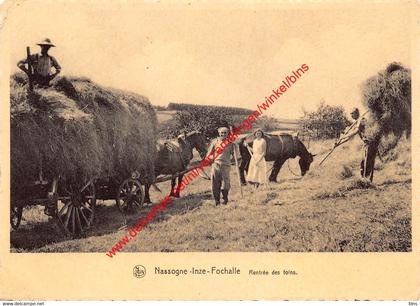 Rentrée des foins - Nassogne