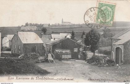 Les environs de Neufchâteau Gribomont / Réf:fm2802