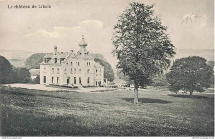 [-50%] Belgique - chateau de Libois - Edit. N Laflotte  -  Carte Postale Ancienne