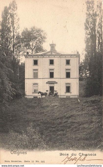 BELGIQUE - Ottignies - Bois du chenois - Carte Postale Ancienne