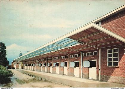 BELGIQUE - Oud Heverlee - Landelijke Ruiterschool van de Belgische Boerenbond - colorisé - J Prevot - Carte postale