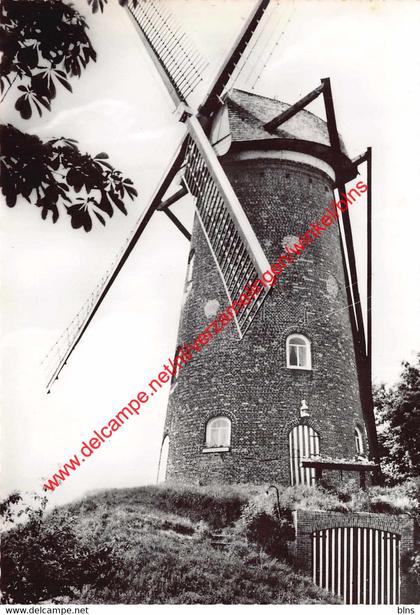 Gerangschikte Stenen Windmolen 1648 - Oelegem Ranst