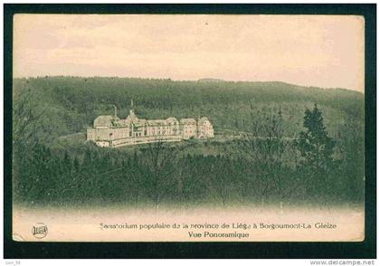 SANATORIUM POPULAIRE DE LA PROVINCE DE LIEGE A BORGOUMONT - LA GLEIZE - Belgique Belgium Belgien Belgio 57210