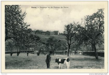 BELGIQUE - LIEGE - HERVE - Paysage vu du Plateau de HERVE (animation homme avec vache)