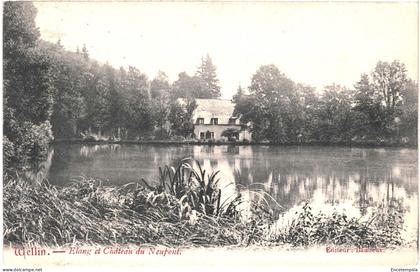 CPA  Carte postale Belgique Wellin Etang Château du Neupont 1908 VM69607