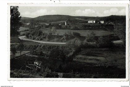 CPA Carte Postale-Belgique Wellin-vue générale de Neupont  VM31296