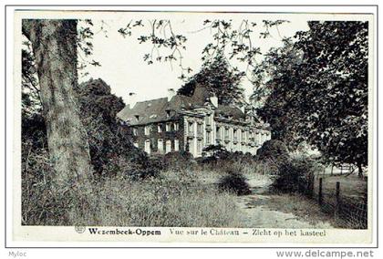 Wezembeek-Oppem. Vue sur le château. Zicht op het kasteel