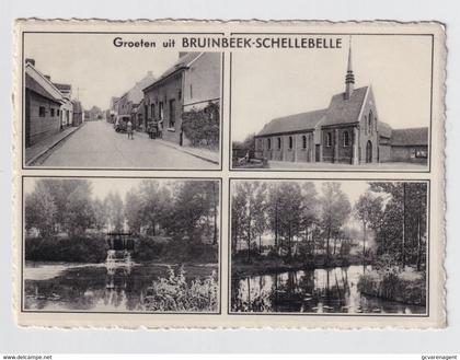 GROETEN UIT BRUINBEEK  SCHELLEBELLE