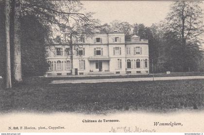 Wommelgem - Wommelghem - Château de Ternesse