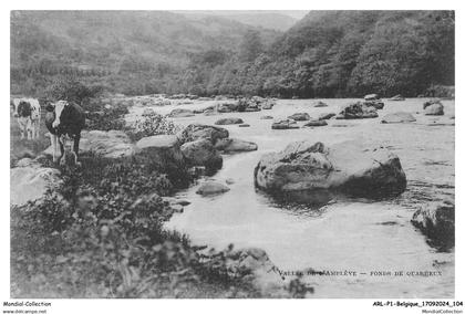 ARLP1-0053-BELGIQUE - LIEGE - Vallée de l'ambiève - Fonds de quarreux