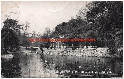 Vijver Zoo Antwerpen