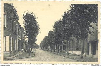 Beerse - Lindenlaan