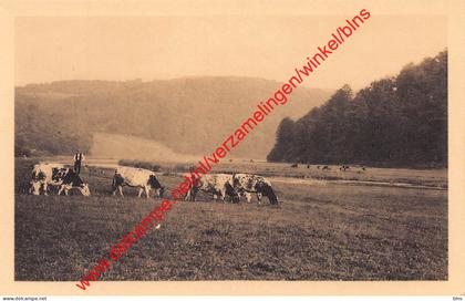 Les pâturages de la Semois - Auby-sur-Semois