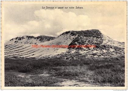 Duinen - Blankenberge