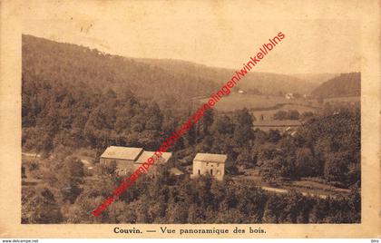 Vue panoramique des bois - Couvin