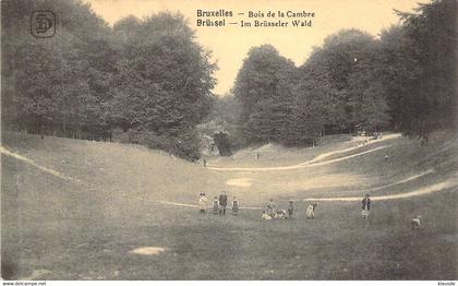 Brüssel im Brüsseler Wald Feldpost