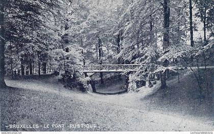 CPA Bruxelles - Le pont rustique - 1907