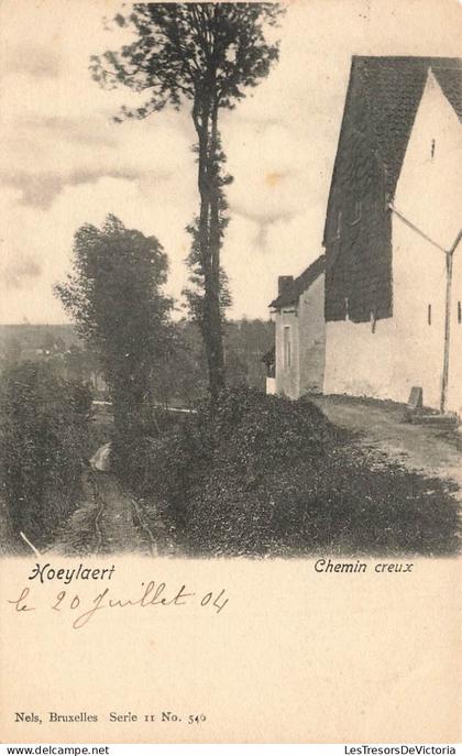 BELGIQUE - Hoeilaart - Chemin creux - Carte postale ancienne