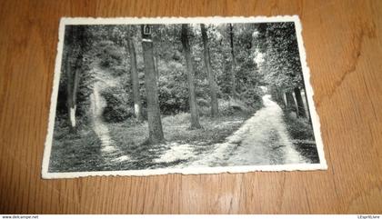 LINKEBEEK Bois de Schavey Brabant Flamand België Belgique Carte Postale