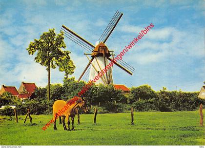 Molen - Ezaart - Mol