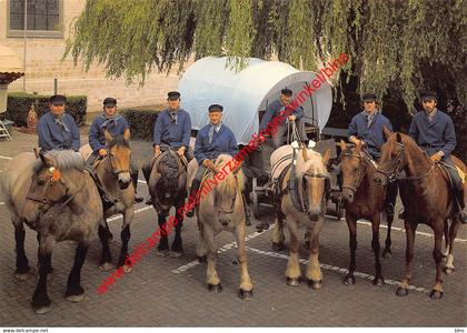 St. Pauluspaardenprocessie - boeren op bedevaart - Opwijk