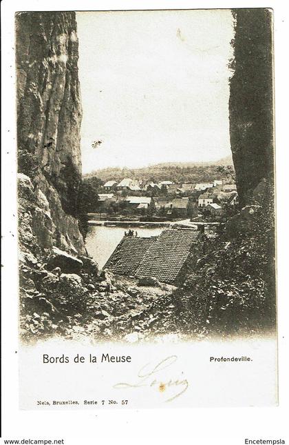 CPA - Carte Postale - Belgique-Profondeville- Bords de Meuse -VM5286