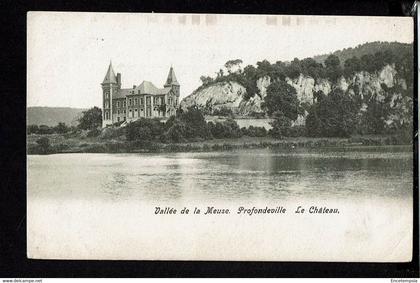 CPA-Carte Postale  Belgique Profondeville Le Château  début 1900VM53967-1