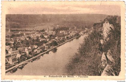 CPA-Carte Postale  Belgique Profondeville  Panorama VM53968