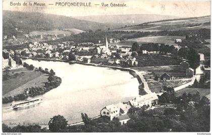 CPA  Carte Postale Belgique  Profondeville  Vue générale 1911  VM75093