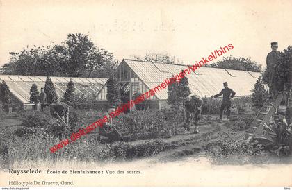 Ruysselede - Ecole de Bienfaisance vue des serres - Ruiselede