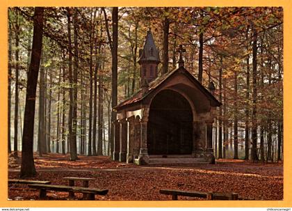 Soignies - Forêt de Soignies - N. D. de Bonne Odeur - Zoniënwoud - O.L.V. Welriekende - LE BERRURIER